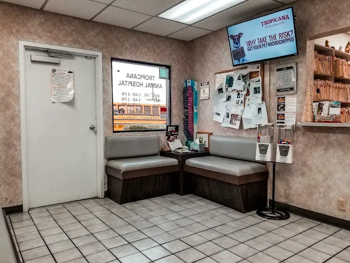 Tropicana Animal Hospital Picture 3