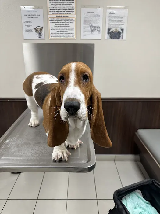 Tropicana Animal Hospital Picture 4