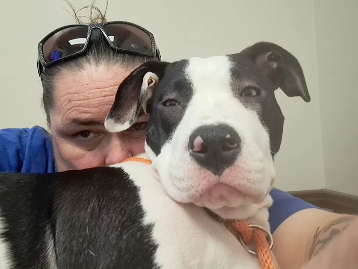 Tropicana Animal Hospital Picture 7