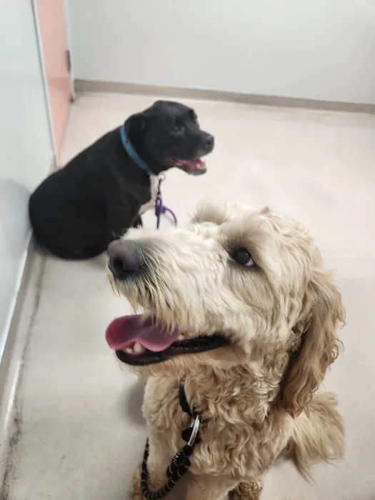 Sandy Hill Animal Clinic Picture 10