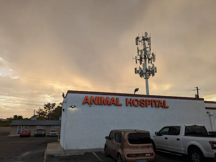 Tropicana Animal Hospital: Tunnard Blake DVM Picture 1