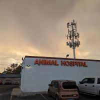 Tropicana Animal Hospital: Tunnard Blake DVM ico