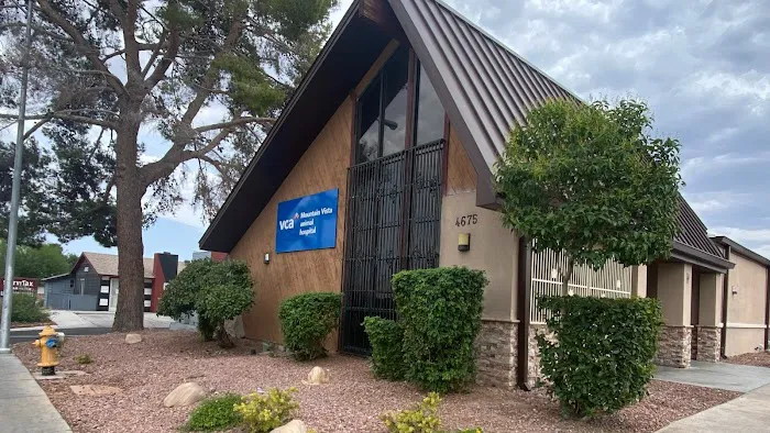 VCA Mountain Vista Animal Hospital Picture 2