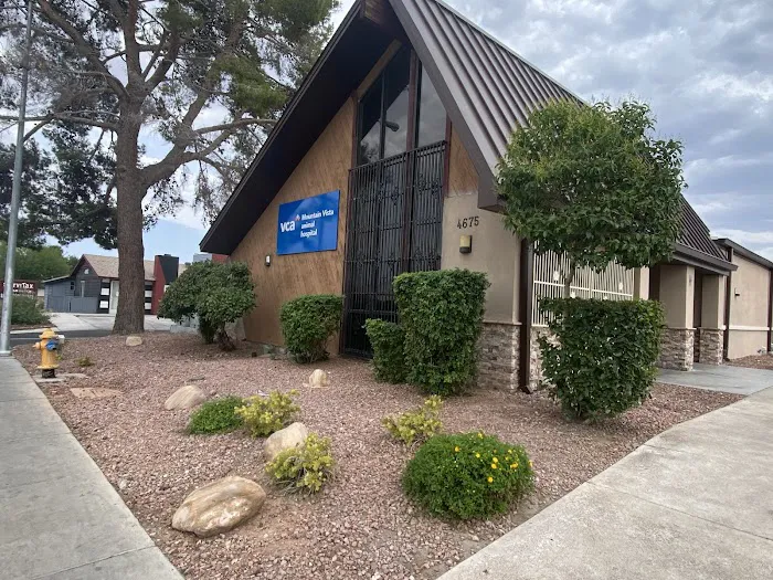 VCA Mountain Vista Animal Hospital Picture 3