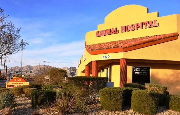 Camino Al Norte Animal Hospital Picture 3