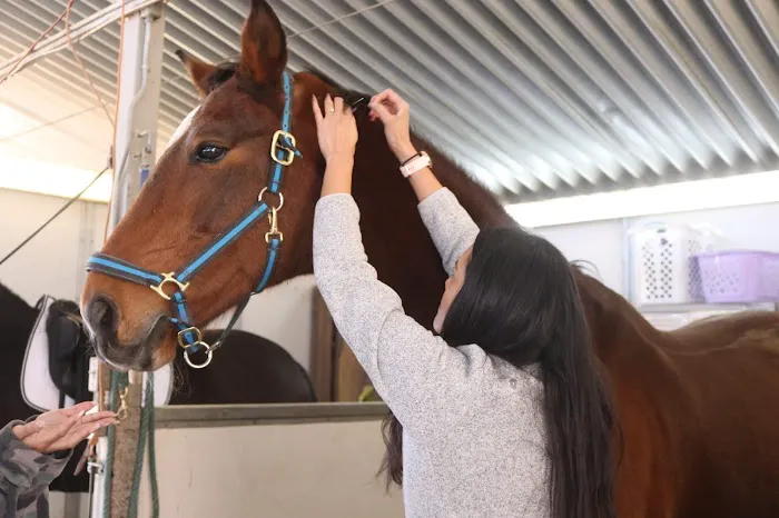 Holiystic Vet Picture 1