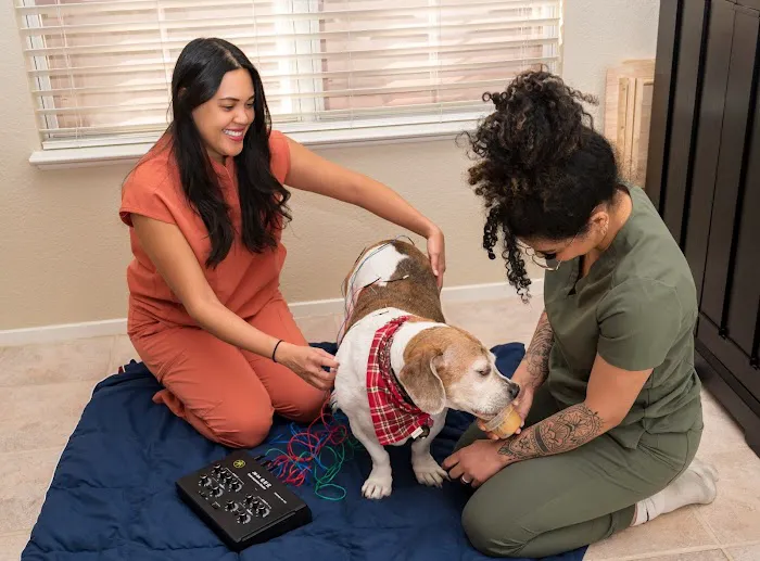 Holiystic Vet Picture 10