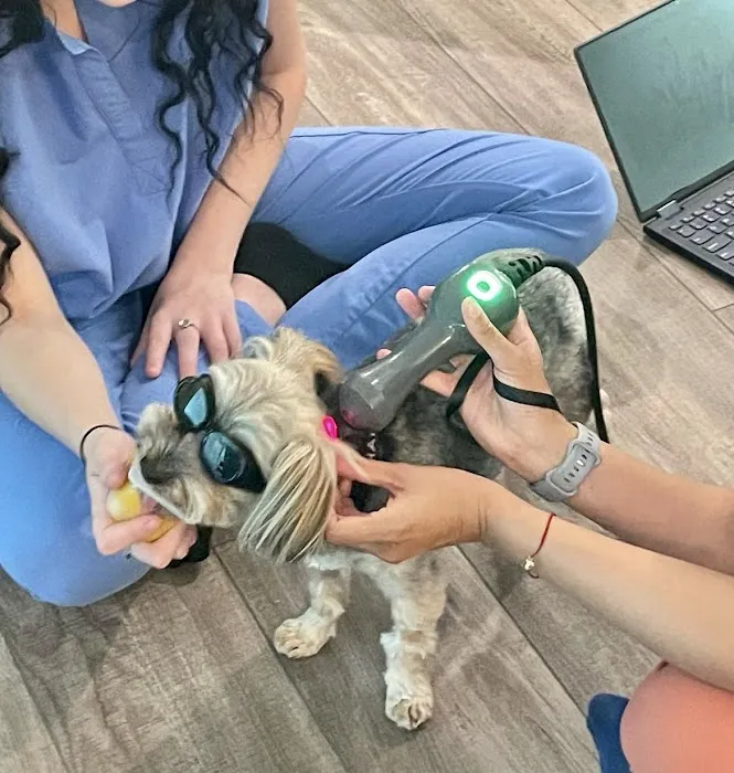 Holiystic Vet Picture 9