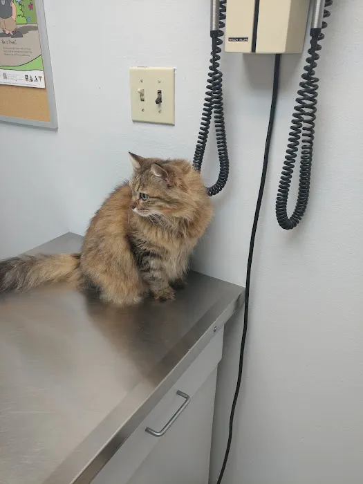 Nellis AFB Veterinary Treatment Facility Picture 1