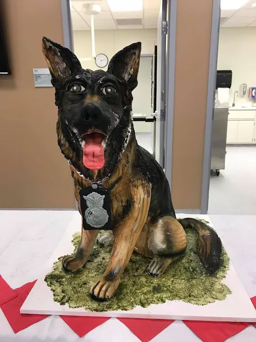 Nellis AFB Veterinary Treatment Facility Picture 3