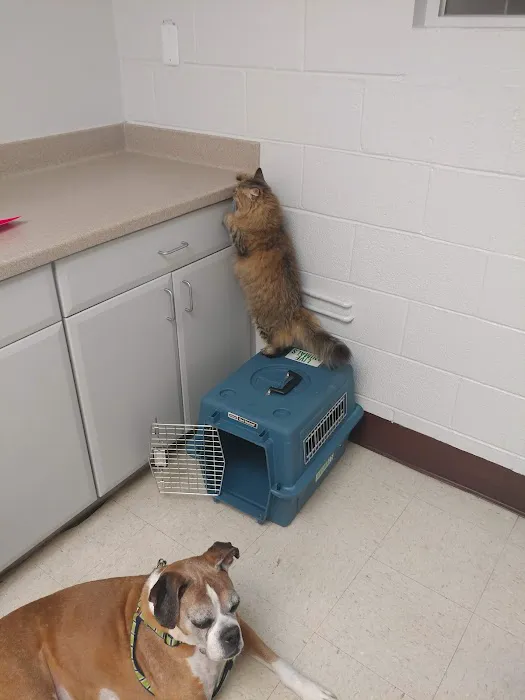 Nellis AFB Veterinary Treatment Facility Picture 2