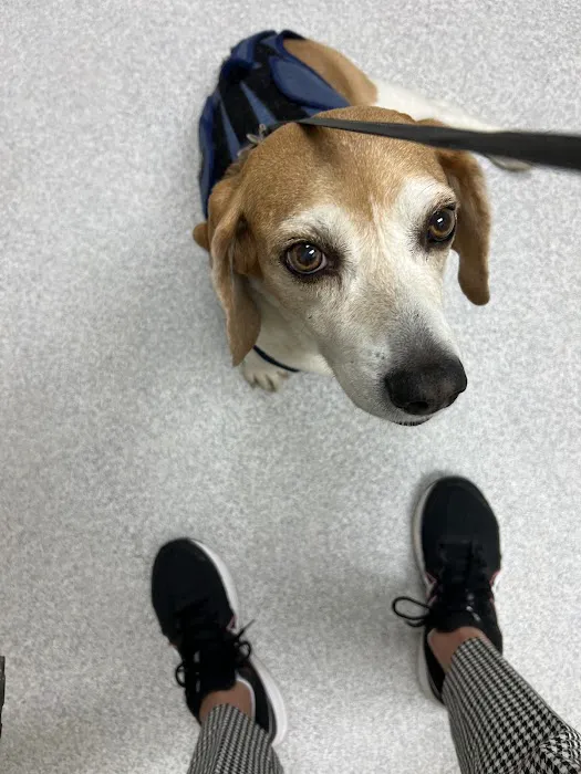 Nellis AFB Veterinary Treatment Facility Picture 6