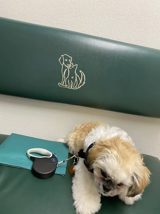 Sahara Pines Animal Hospital Picture 7