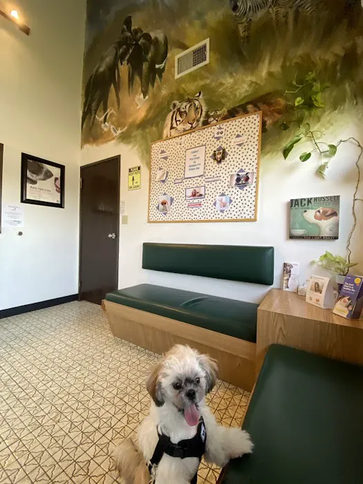 Sahara Pines Animal Hospital Picture 8
