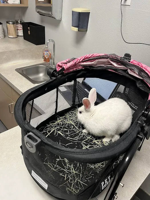 West Flamingo Animal Hospital Picture 4