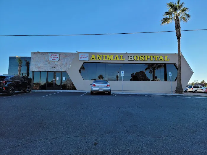 West Flamingo Animal Hospital Picture 7