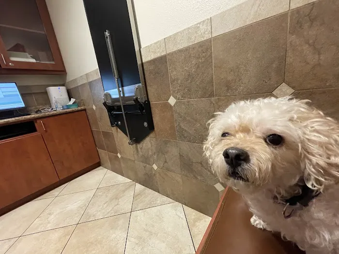Craig Road Animal Hospital Picture 10