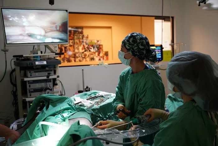 Veterinary Opportunities for Students | V.O.S Picture 2