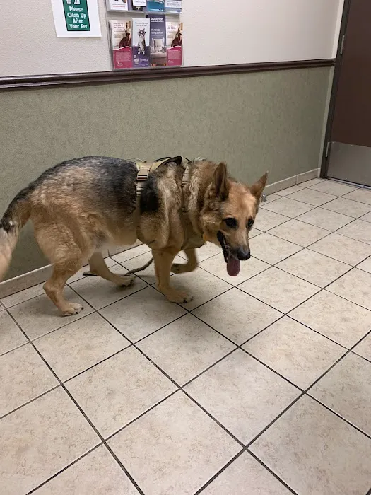 Ann Road Animal Hospital Picture 6