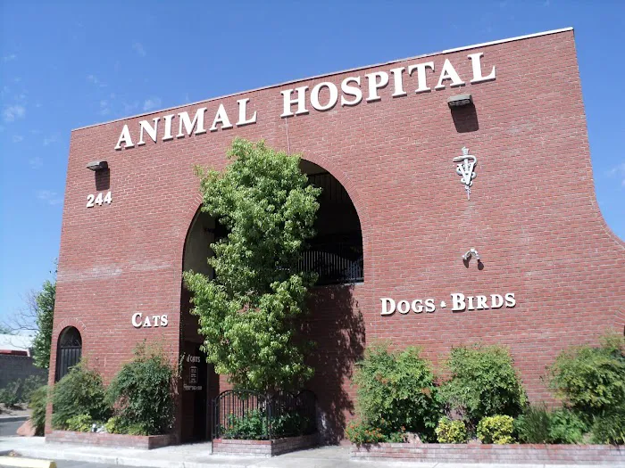 Rainbow Animal Hospital Picture 3