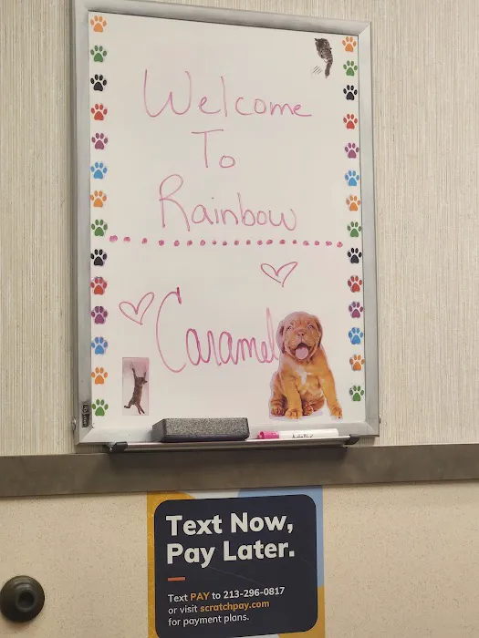 Rainbow Animal Hospital Picture 1