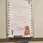Rainbow Animal Hospital