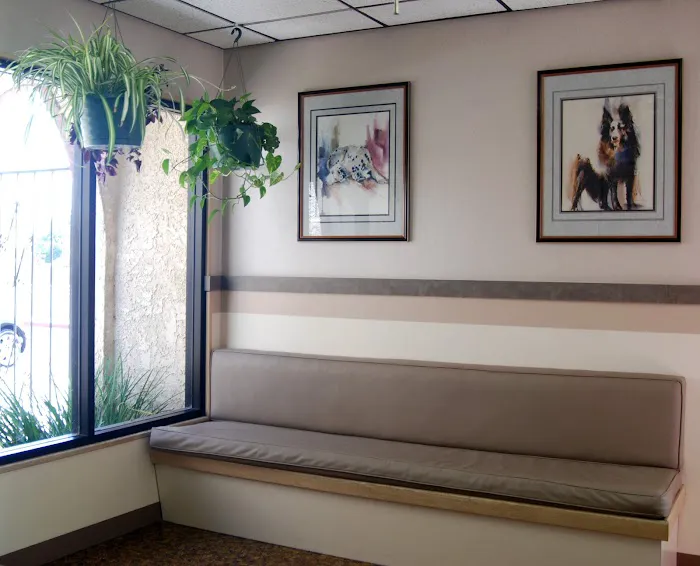 Rainbow Animal Hospital Picture 2
