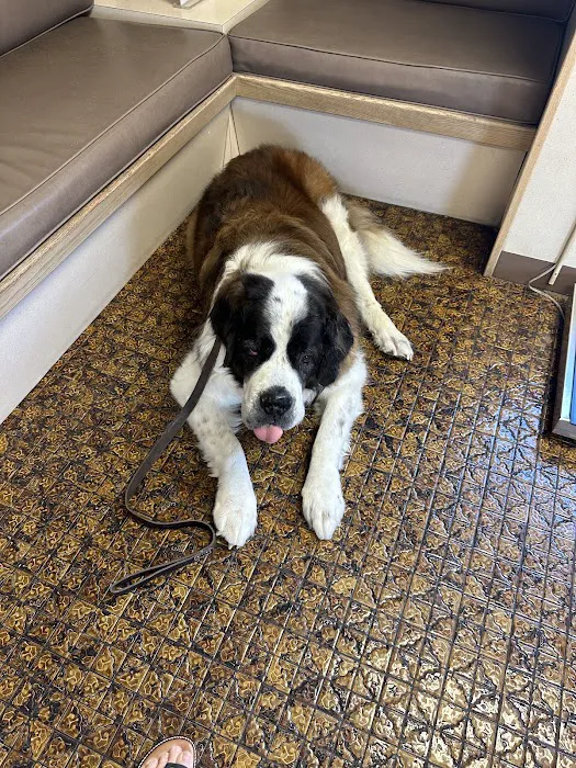 Rainbow Animal Hospital Picture 4