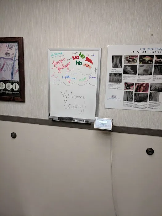 Rainbow Animal Hospital Picture 8