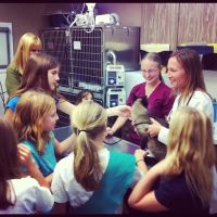 Veterinary Medical Clinic ico