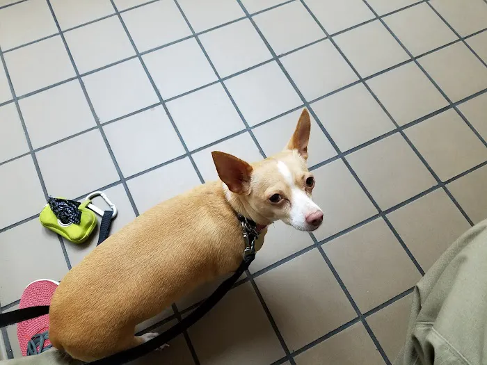 Veterinary Medical Clinic Picture 10