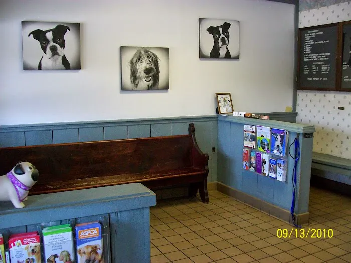 Urgent Pet Care of South Tampa Picture 3