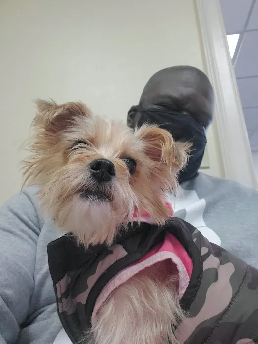 Animal Hospital of Tampa Bay Picture 9