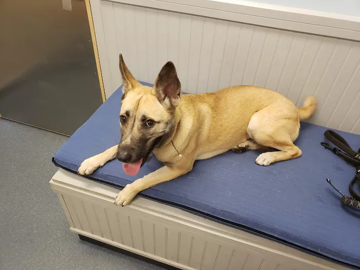 Bayshore Animal Clinic Picture 3