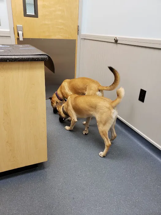 Bayshore Animal Clinic Picture 6