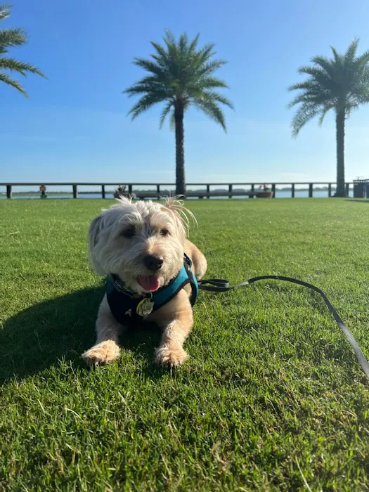 Bayshore Animal Clinic Picture 4