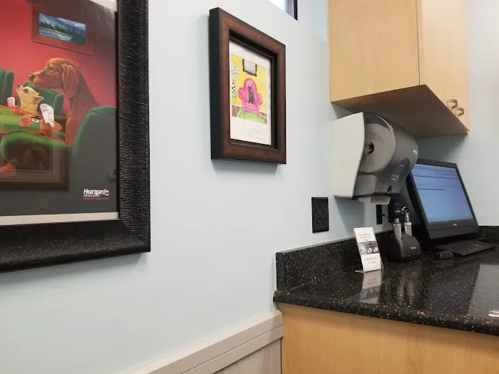 Bayshore Animal Clinic Picture 7
