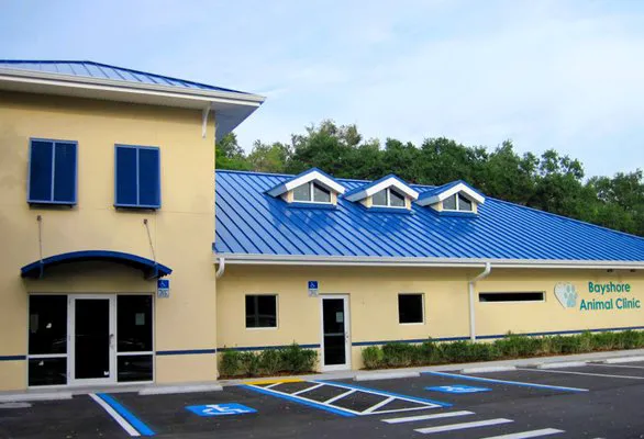 Bayshore Animal Clinic Picture 9