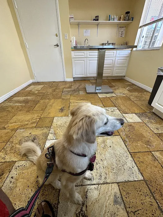 Animal Doctors of South Tampa Picture 2