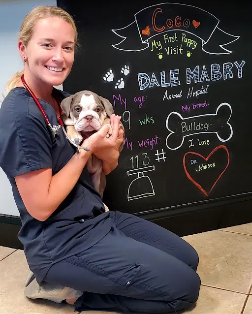 Dale Mabry Animal Hospital Picture 2