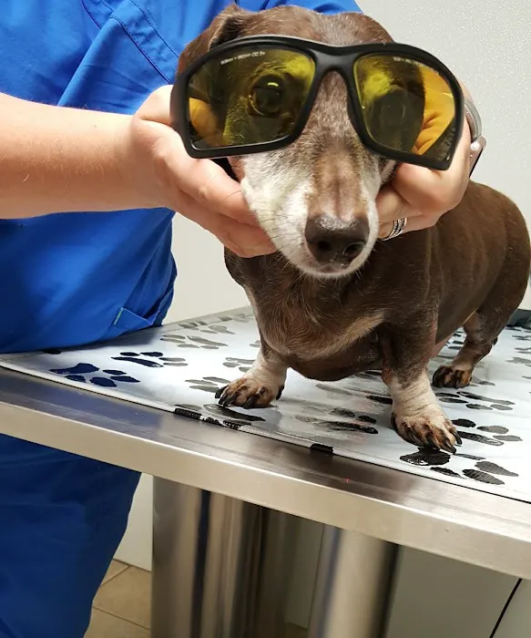 Dale Mabry Animal Hospital Picture 4