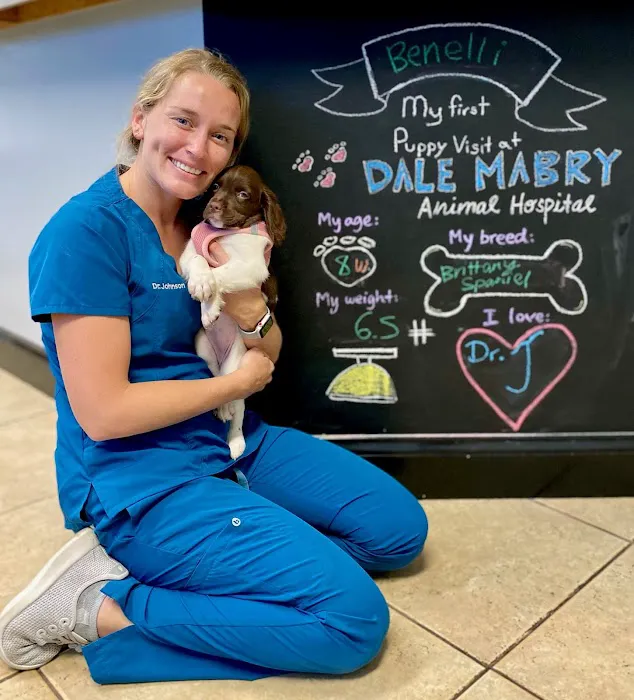 Dale Mabry Animal Hospital Picture 8