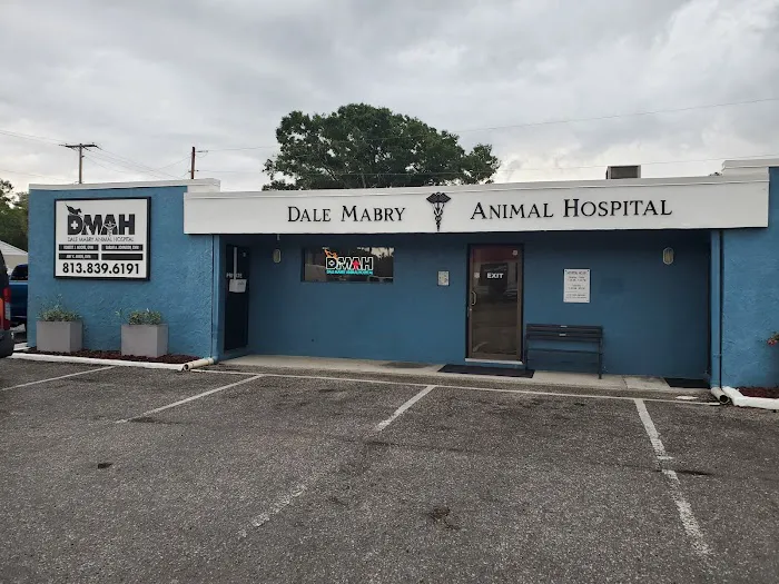 Dale Mabry Animal Hospital Picture 5