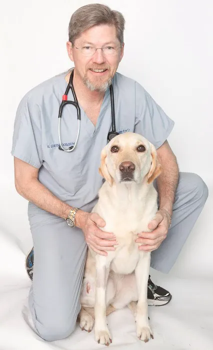Dale Mabry Animal Hospital Picture 9