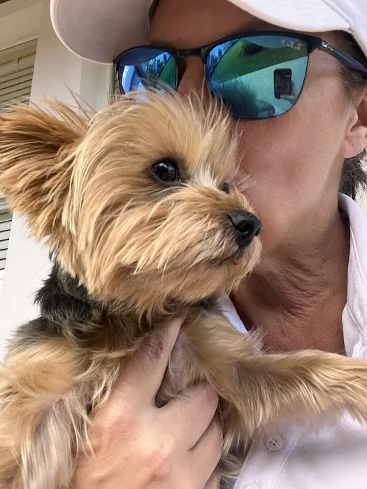 Dale Mabry Animal Hospital Picture 10