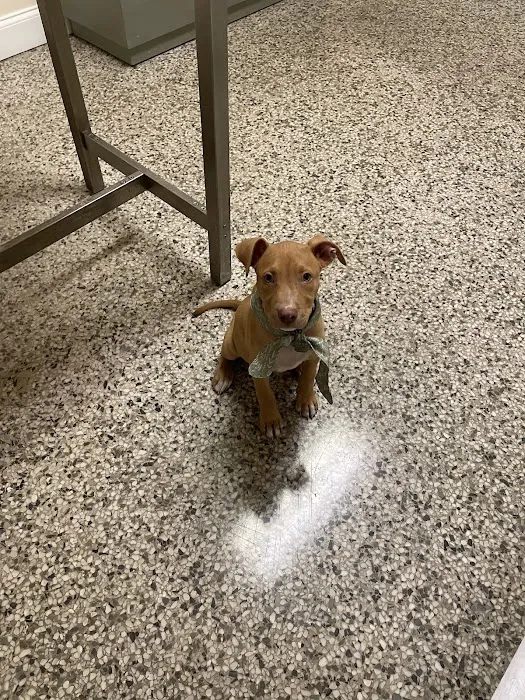 Sunset Park Animal Hospital Picture 2