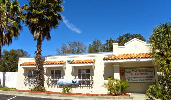Sunset Park Animal Hospital Picture 1