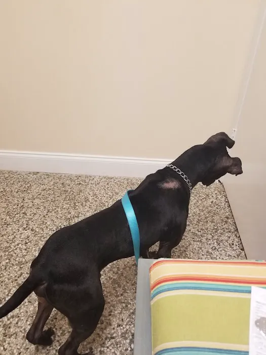 Sunset Park Animal Hospital Picture 7