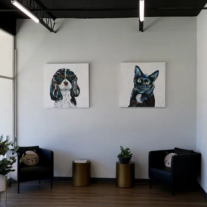 Westshore Animal Hospital Picture 6