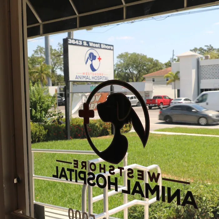 Westshore Animal Hospital Picture 9